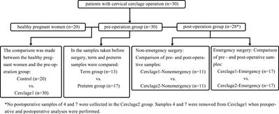 Effects of emergency/nonemergency cervical cerclage on the vaginal microbiome of pregnant women with cervical incompetence